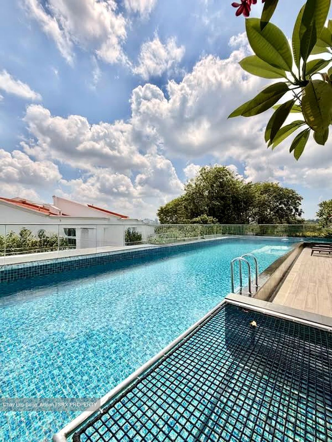 Dunearn 386 (D11), Apartment #536093451